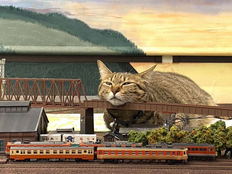 meo-o-Diorama-Tetsudokan-Shokudou-3 meo-o-Diorama-Tetsudokan-Shokudou-3